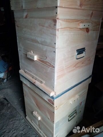 Пчелосемьи, ульи, мёд купить на Зозу.ру - фотография № 2