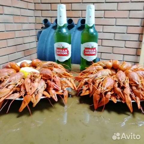 Раки живые в Богородске