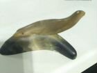 Статуэтка тюленя СССР кость рог Север