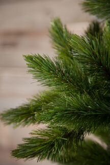 Triumph Tree Ель Триумф де Люкс