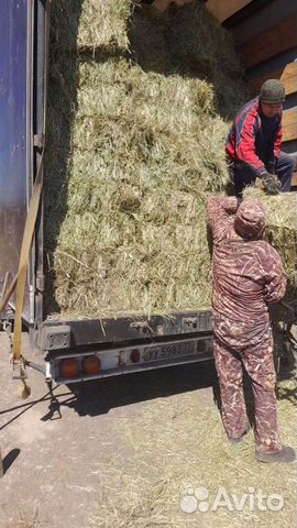 Сено для животных арт. Chhv 00010