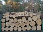 Продам дрова чурками