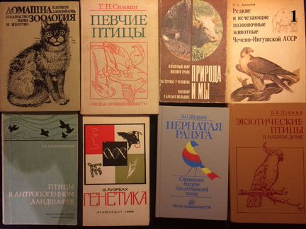 Книги: природа, птицы, животные