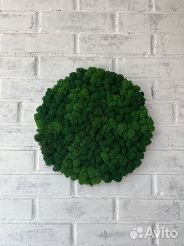 Панели из стабилизированного мха