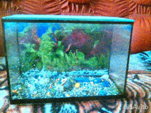 Аквариум