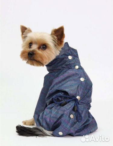 Комбинезон для маленькой собаки