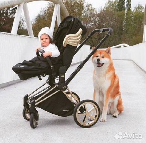 Cybex Priam III by Jeremy Scott прогулка