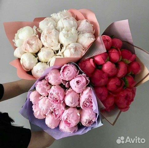 Живые цветы букеты пионы, букет цветов пионы
