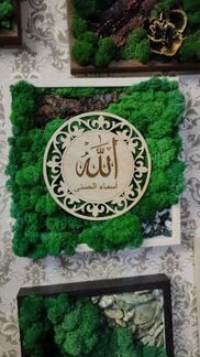 Картины из стабилизированного мха 