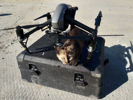 Аэросъёмка с квадрокоптера DJI Inspire 2