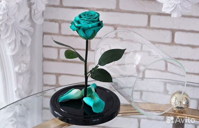 Роза в колбе. С гарантией