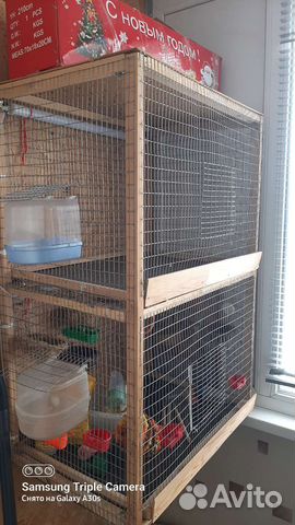 Клетка вольер для птиц