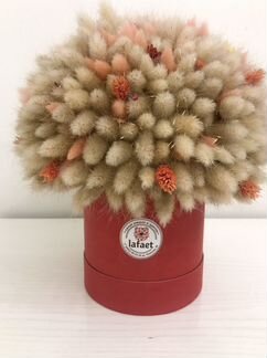 Декоративная композиция из лагуруса