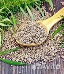 Купить в казани семена канабиса что курить у марихуаны