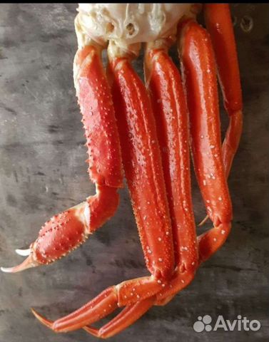 Краб стригун.Отправка в регионы. Опт, розница