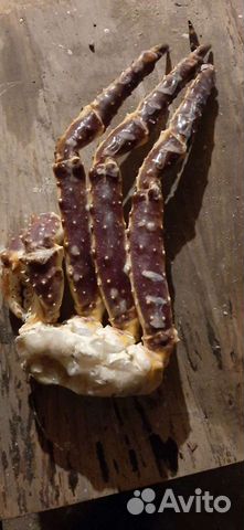 Клешни камчатского краба