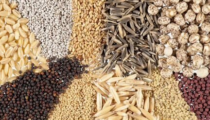 Свои семена овощей, зелени, цветов в ассортименте