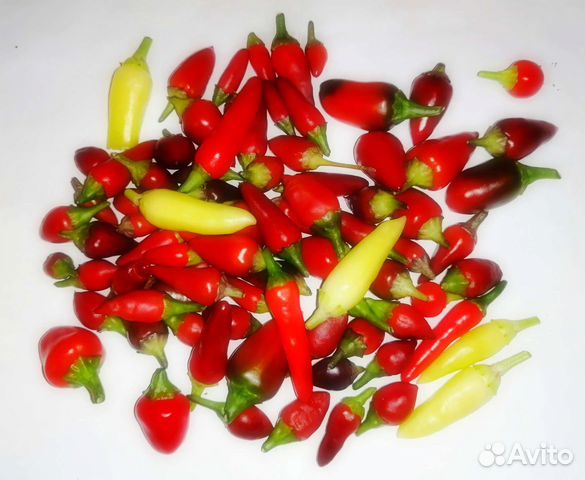 Семена острых перцев. Набор 5 сортов по 10 семян