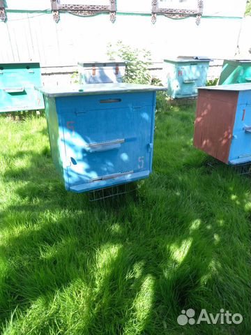 Ульи для пчел бу