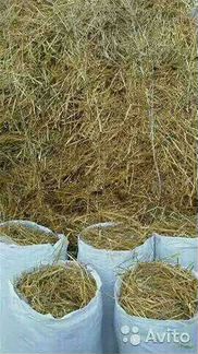 Сенo и солома,свежий урожай