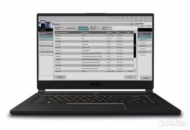 Ista+ (Rheingold) 4.36.40 для BMW