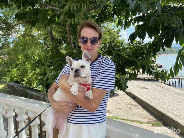 Передержка собак и кошек Догситтер