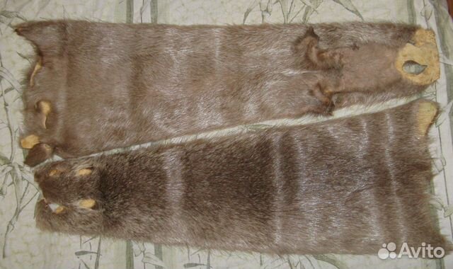 Шкурка нутрии, серебристая, светлый мех (2 шт)
