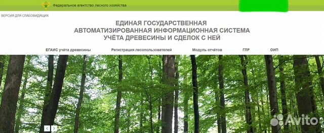 Настройка Егаис-Лес, Торги, Закупки