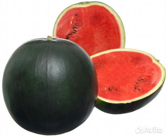 Семена Арбуза 