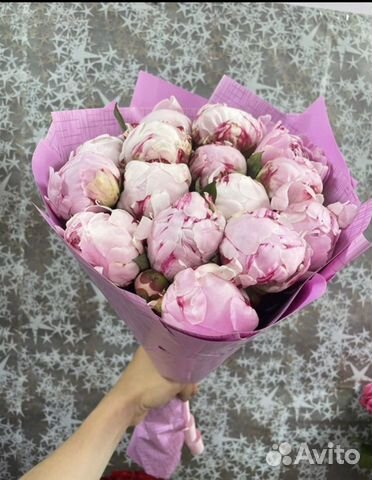 Цветы Букеты Пионы 11 15 21 25 31 35 51