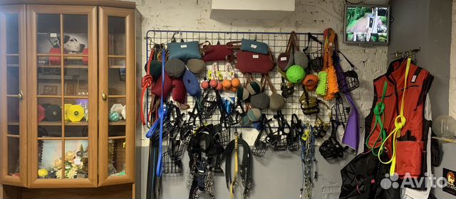 Fordogtrainers, Dogtra, sport DOG, NoName