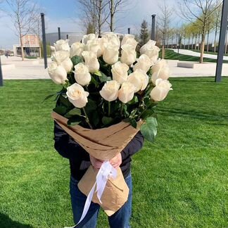 Роза 60,70,80 см, высокая