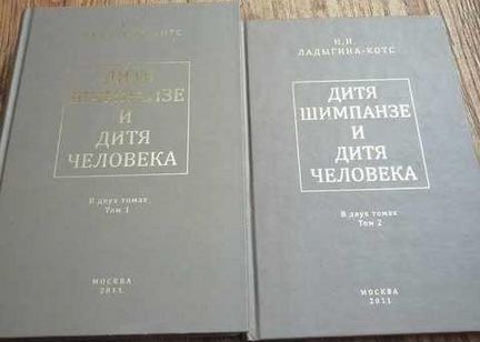 Ладыгина-котс дитя шимпанзе и дитя человека фото. Ладыгина-котс дитя шимпанзе и дитя человека. Дитя шимпанзе. Дитя шимпанзе и дитя человека. Дитя шимпанзе.