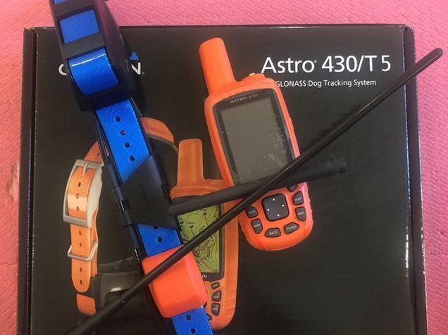 Ошейник гармин 430. Garmin Astro 430 с ошейником t5.