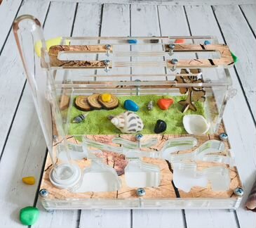 Муравьиная ферма mini 