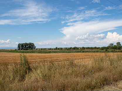 Погода львовское краснодарский село край северский. Львовское Краснодарский край. Село Львовское. Село Львовское Краснодарский край фото. Картинки для 4 класса про село Львовское.