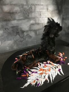 Мягкая игрушка дракон