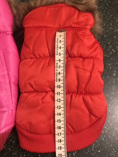 Стильная одежда для маленьких собачек