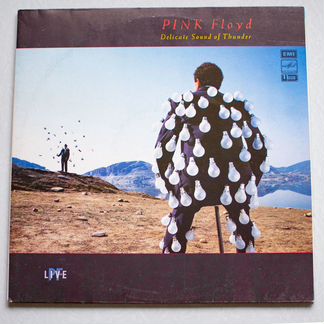 Пластинка Pink floyd Delicate Sound of Thunder 2lp