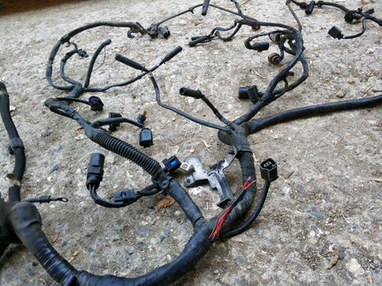 Проводка двигателя 3.0 CASa VW Туарег Audi Q7