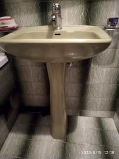 Раковина тюльпан