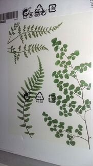Постеры и рамки Икеа новые Vankiva IKEA и tvilling