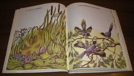 Фотоальбом СССР Винтаж