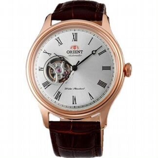 Мужские наручные часы Orient FAG00001S