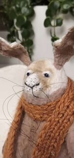 Теддизаяц