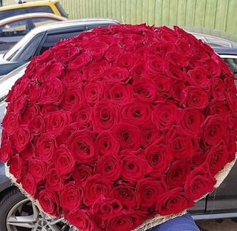 31роза, 51роза, 101роза, доставка цветов