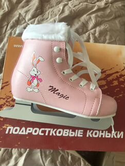 Коньки на двух полозьях