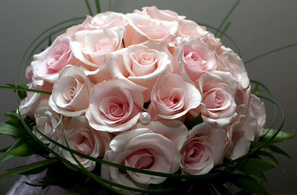 Розы, Букеты Цветы 25 51 151 201 501 101