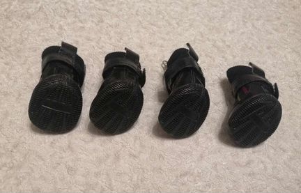 Ботинки для чихуахуа,йорка,шпица, той терьера