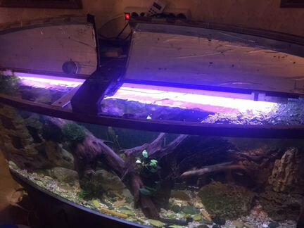 Панорамный аквариум 400 л sunsun с оборудованием